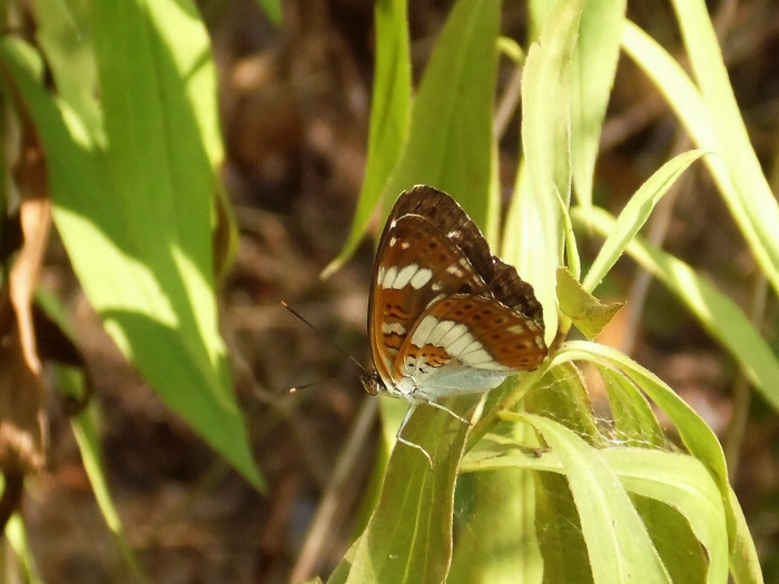 Parco del ticino 4-8-12